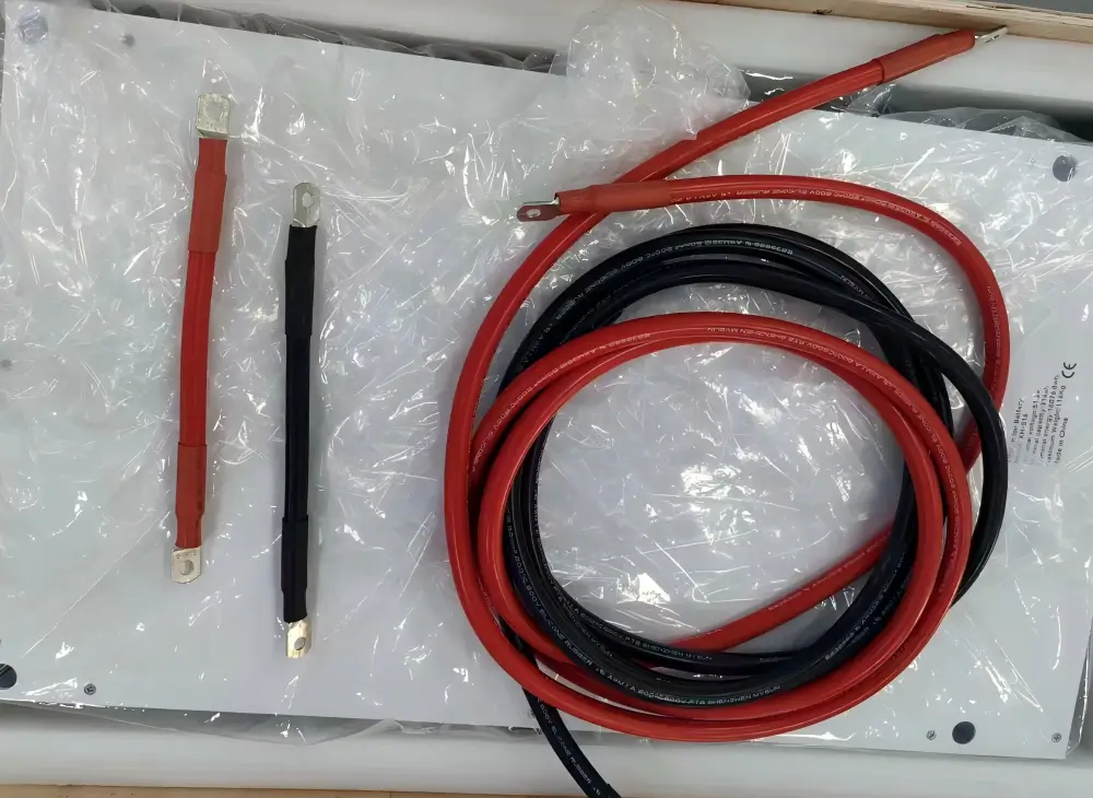 Wheeled Battery Pack Appearance Check Italy