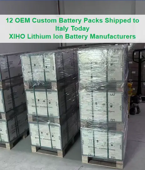 12 OEM Custom Battery Packs Shipped to Italy Today