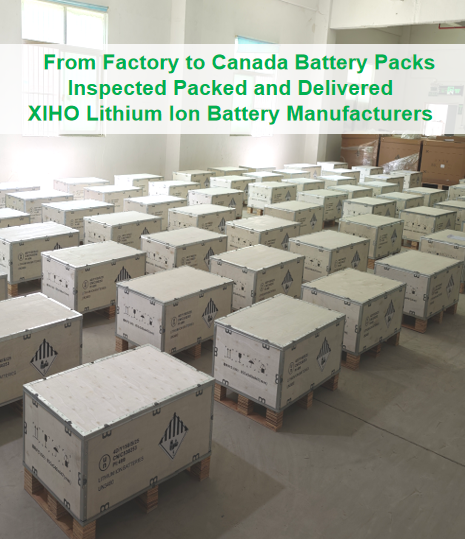 From Factory to Canada Battery Packs Inspected Packed and Delivered
